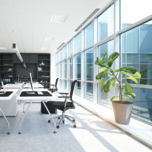 Welches Arbeitsumfeld passt zu mir?
